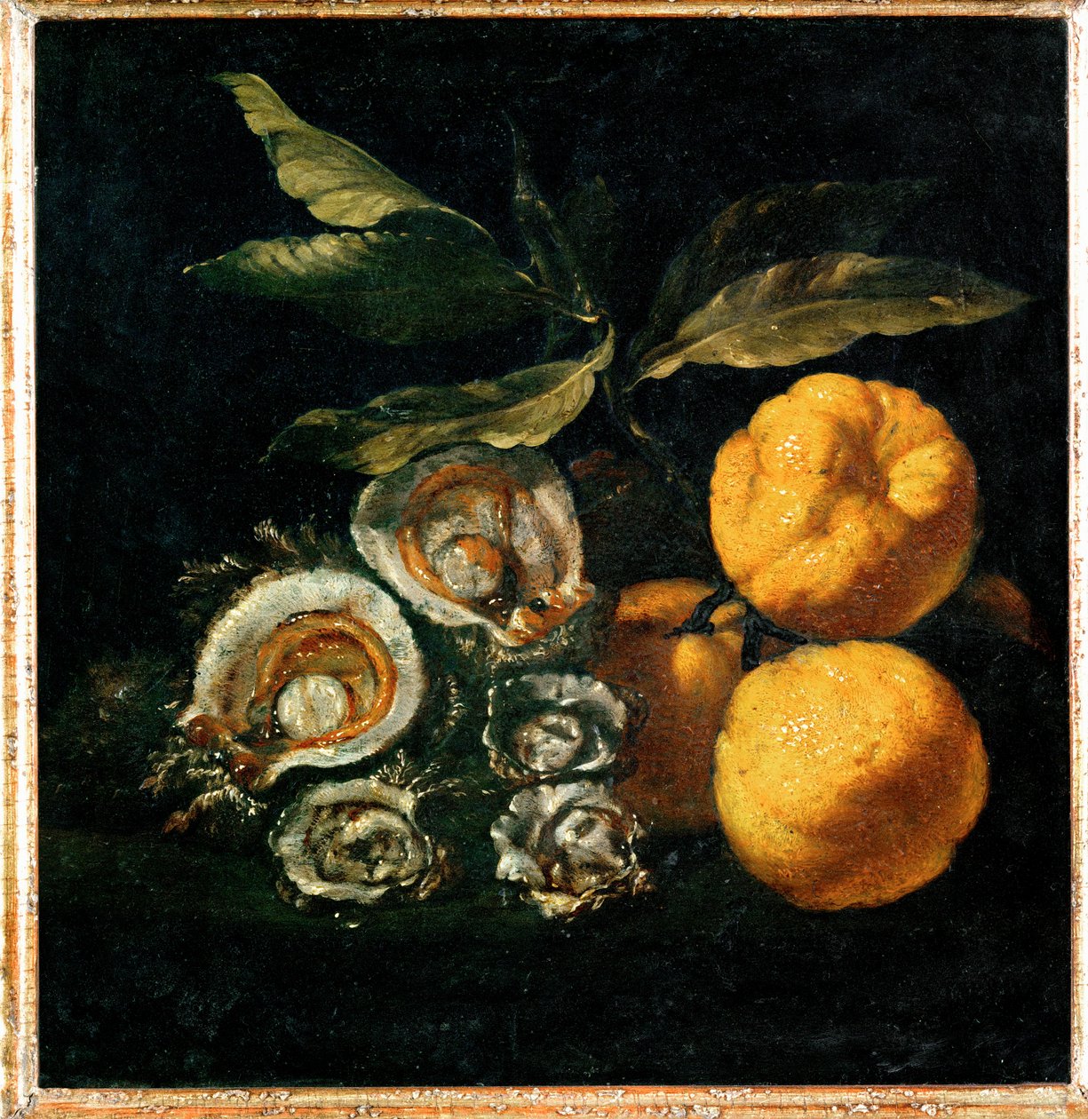 Nature Morte aux huitres et aux coings - Stilleben med ostron och kvitten ... av Giuseppe Recco