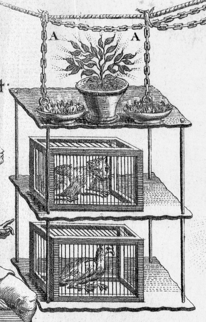 Experimenterar med elektricitet, tallrik från Essai sur lelectricite des corps av abbot Jean Antoine Nollet, detalj av djur i burar, 1749 gravyrdetalj av 224419 av Gobin