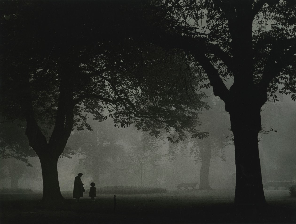 Regents Park, London 1950-tal av Godfrey Macdominic
