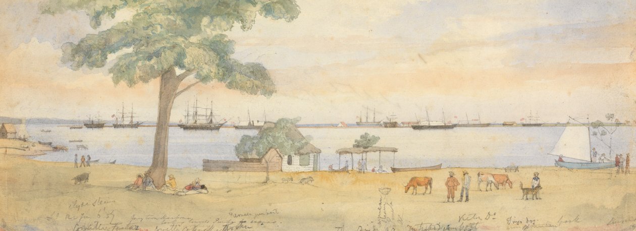 Greytown av Godfrey Thomas Vigne