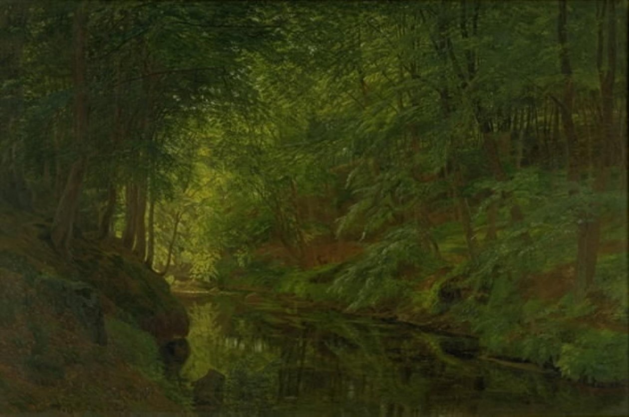 En bäck i Sæbygaard Wood, Vendsyssel, Jylland av Godtfred Rump