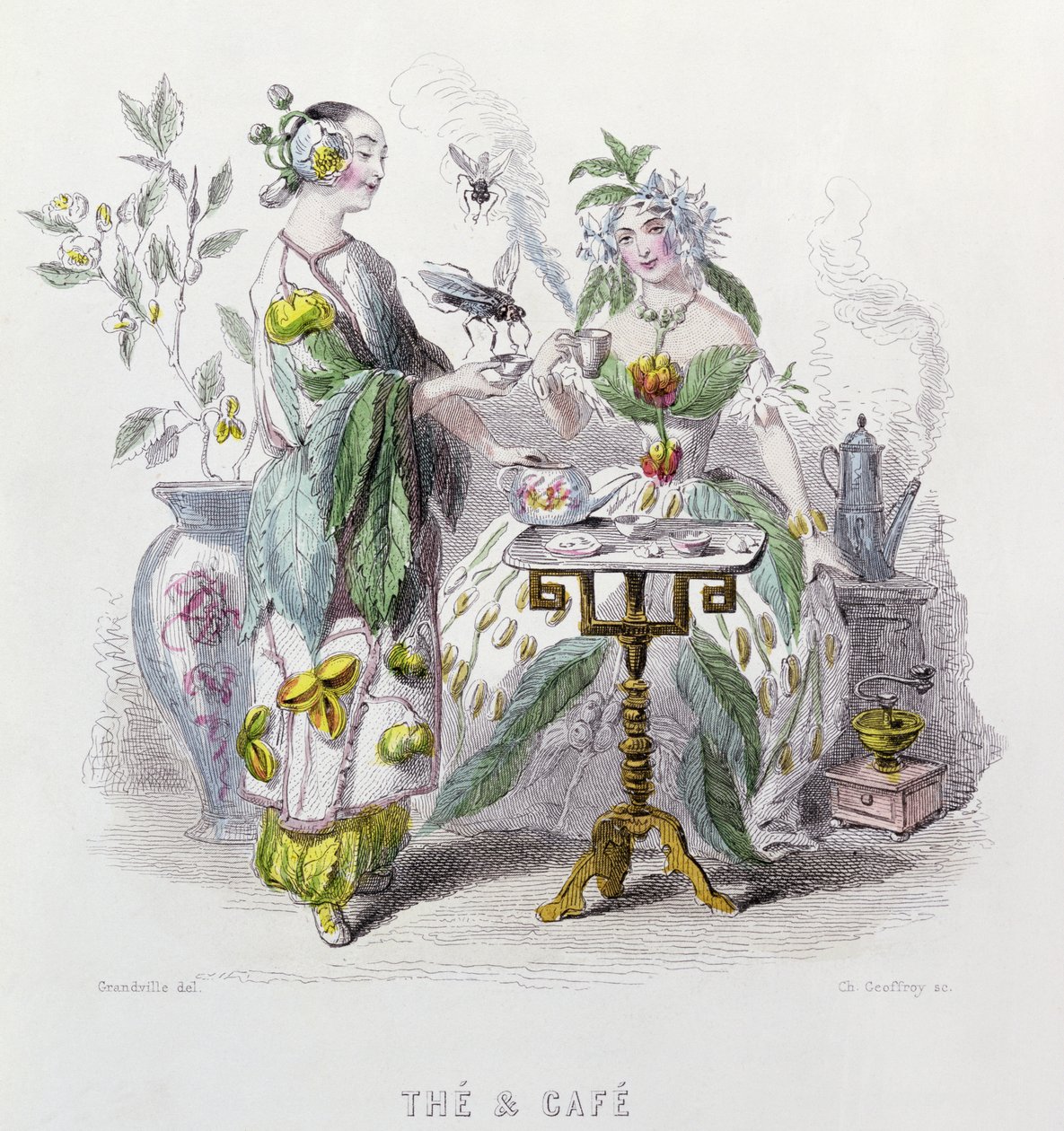 Te och kaffe, från "Les Fleurs Animees", graverat av Charles Geoffrey (1819-82) 1847 av Grandville