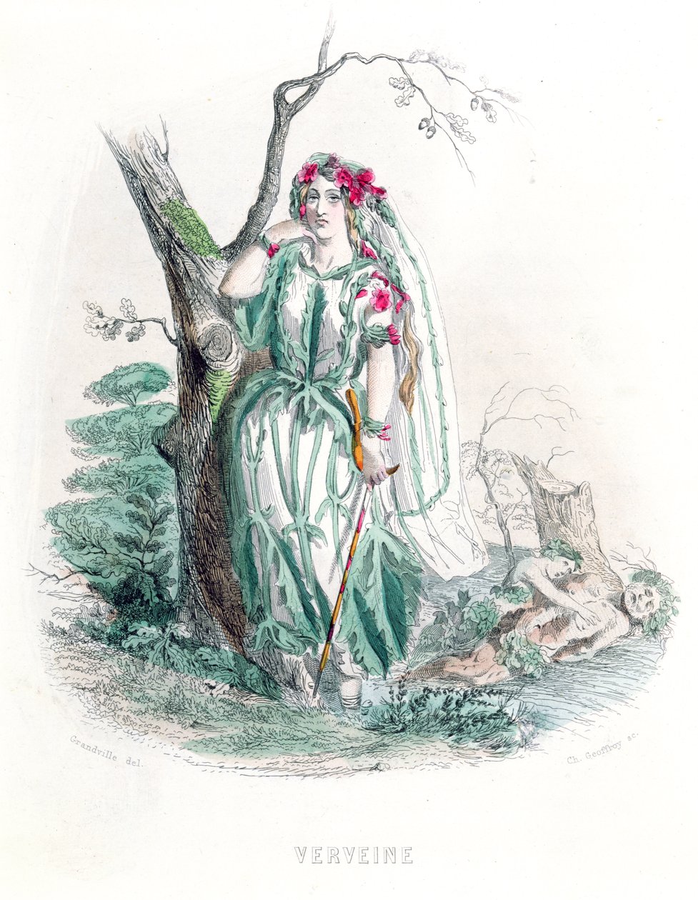 The Vervain, från 