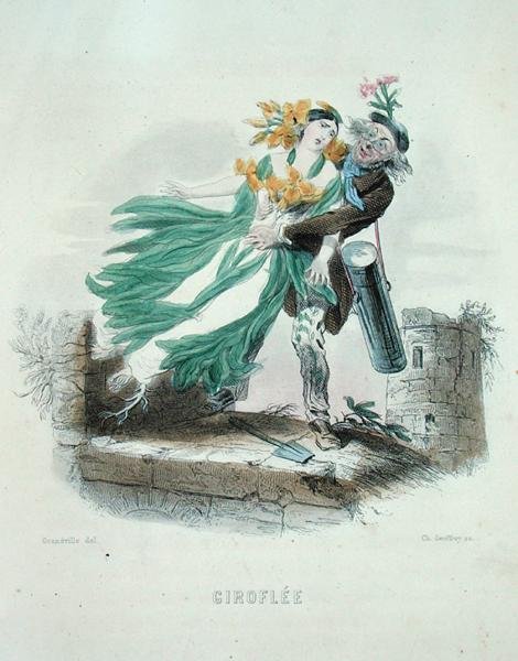 Herbalist som stjäl väggblomman, från 