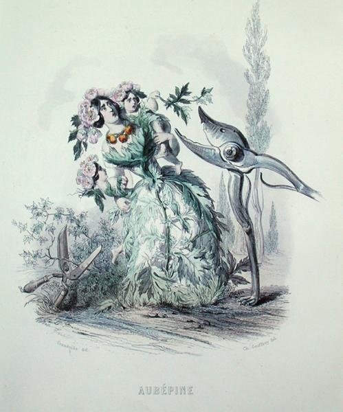 Hagtornet, från 