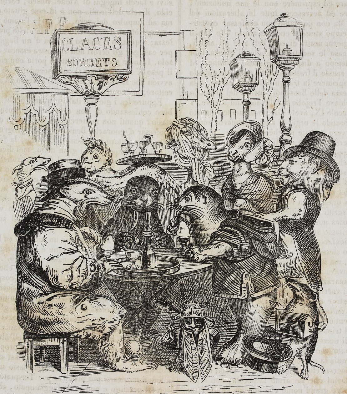 Odjur som sitter i glassbutik, litografi av Giovanni Mariani efter karikatyr av Jean-Jacques Grandville (1803-1847) från Poliorama Pittoresco, n 24, 21 januari av Grandville