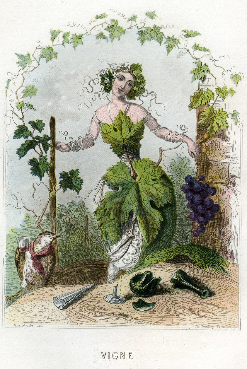 Illustration för "Les Fleurs Animees av Grandville (1803 47)