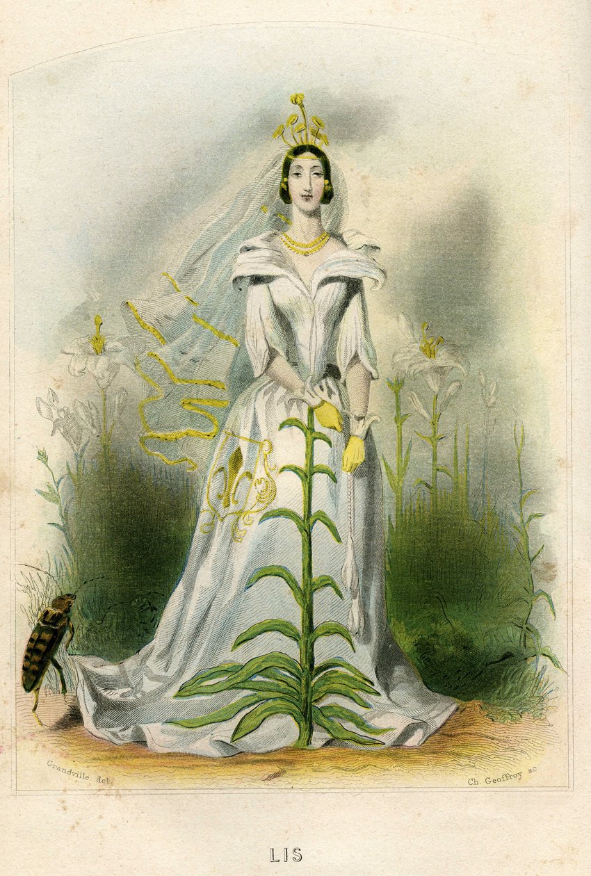 Illustration för "Les Fleurs Animees av Grandville (1803 47)