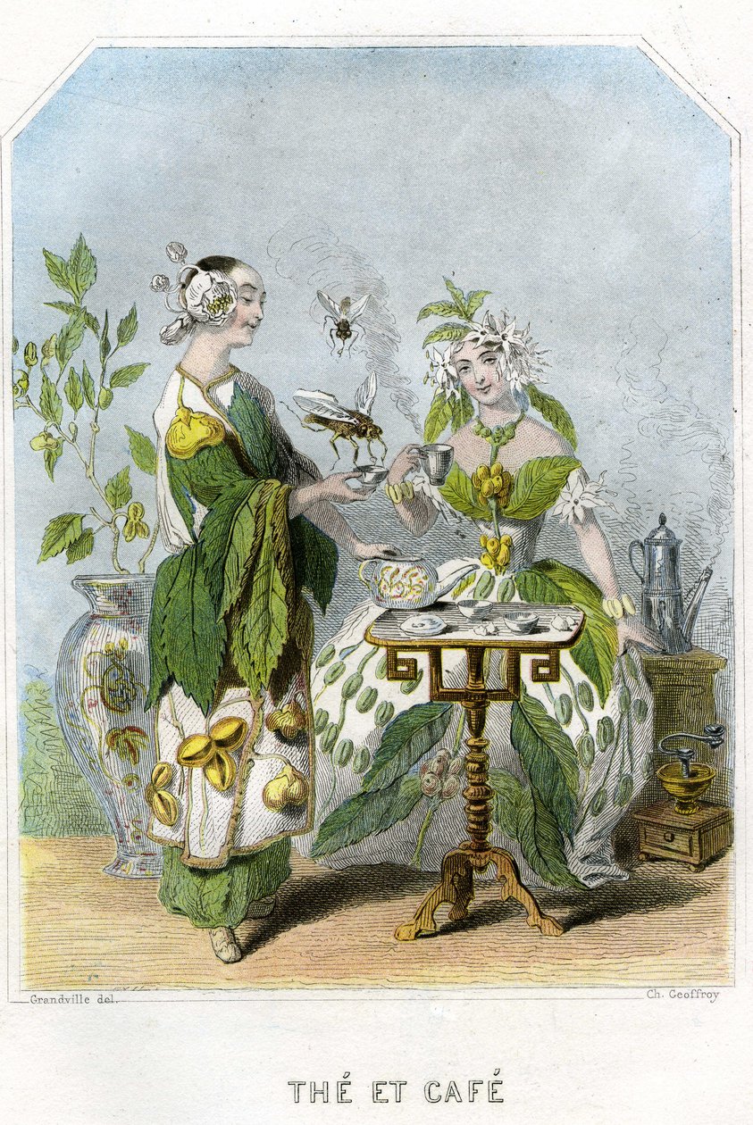 Illustration för "Les Fleurs Animees av Grandville (1803 47)