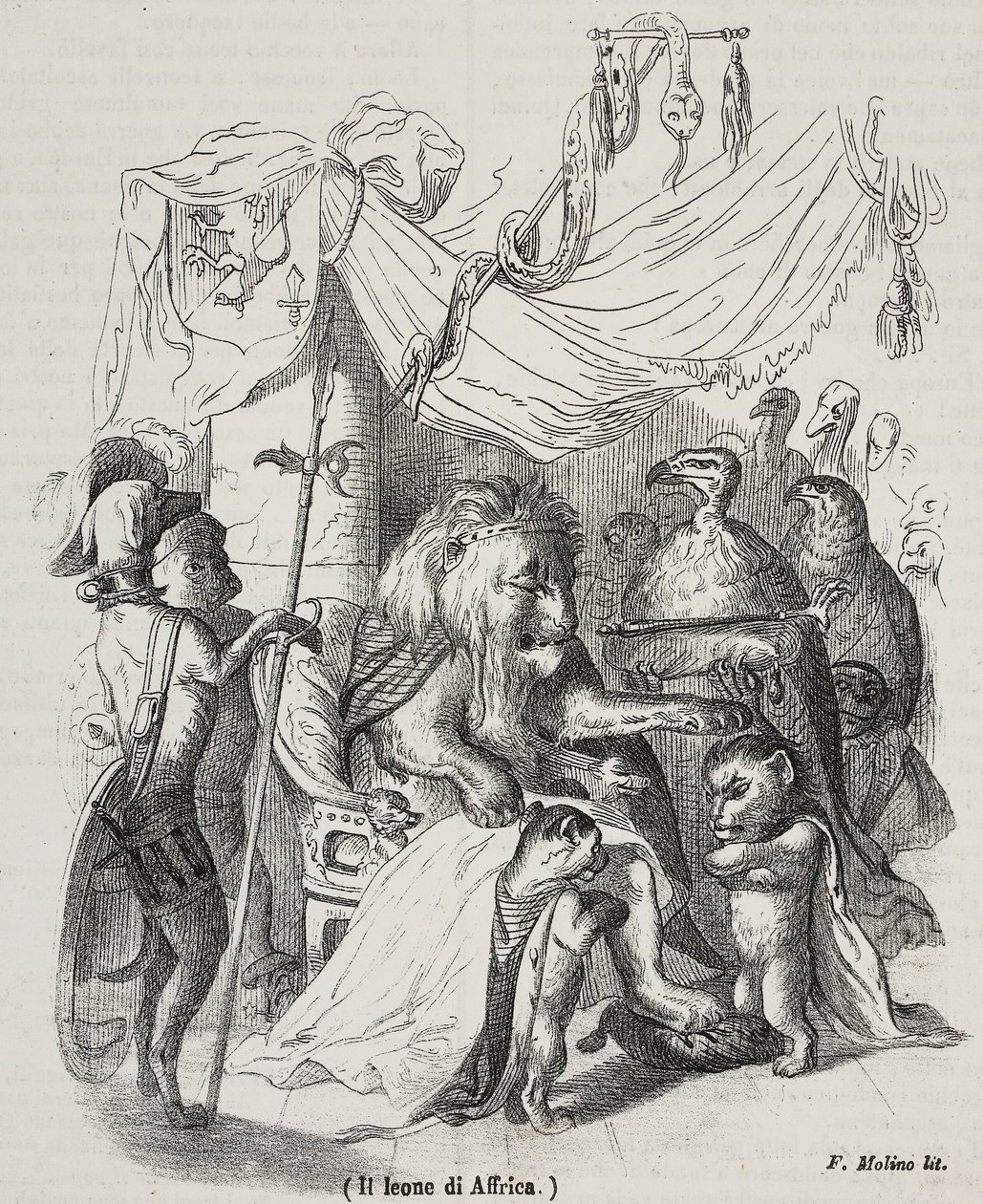 Lion of Africa, karaktären i historien om afrikanska lejon och tre infödda unga lejon, litografi av Filippo Molino (1804-1856) efter teckning av Jean-Jacques Grandville (1803-1847), av Grandville