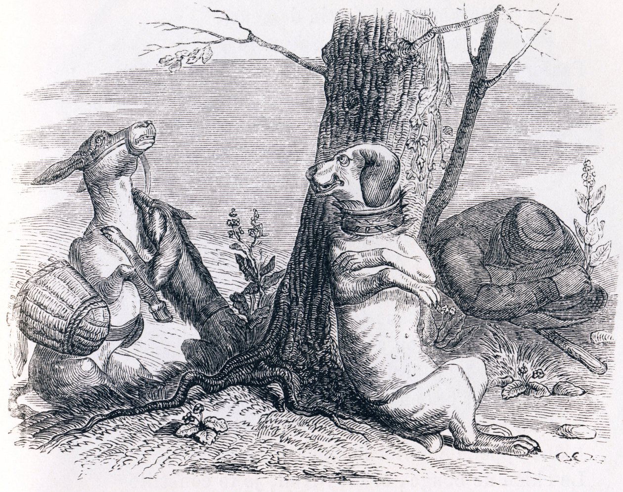 Åsnan och hunden (L