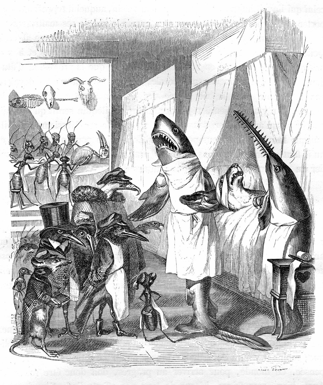 Tecknad film: Fiskarna - läkare: Grandville gravyr, ur boken "Djurens privata och offentliga liv (Les animaux ints par eux memes)", Hetzel edition 1867 s. 551 - En haj och en sågfisk (Fish saw) vid en sjuk människas säng. av Grandville (1803 47)
