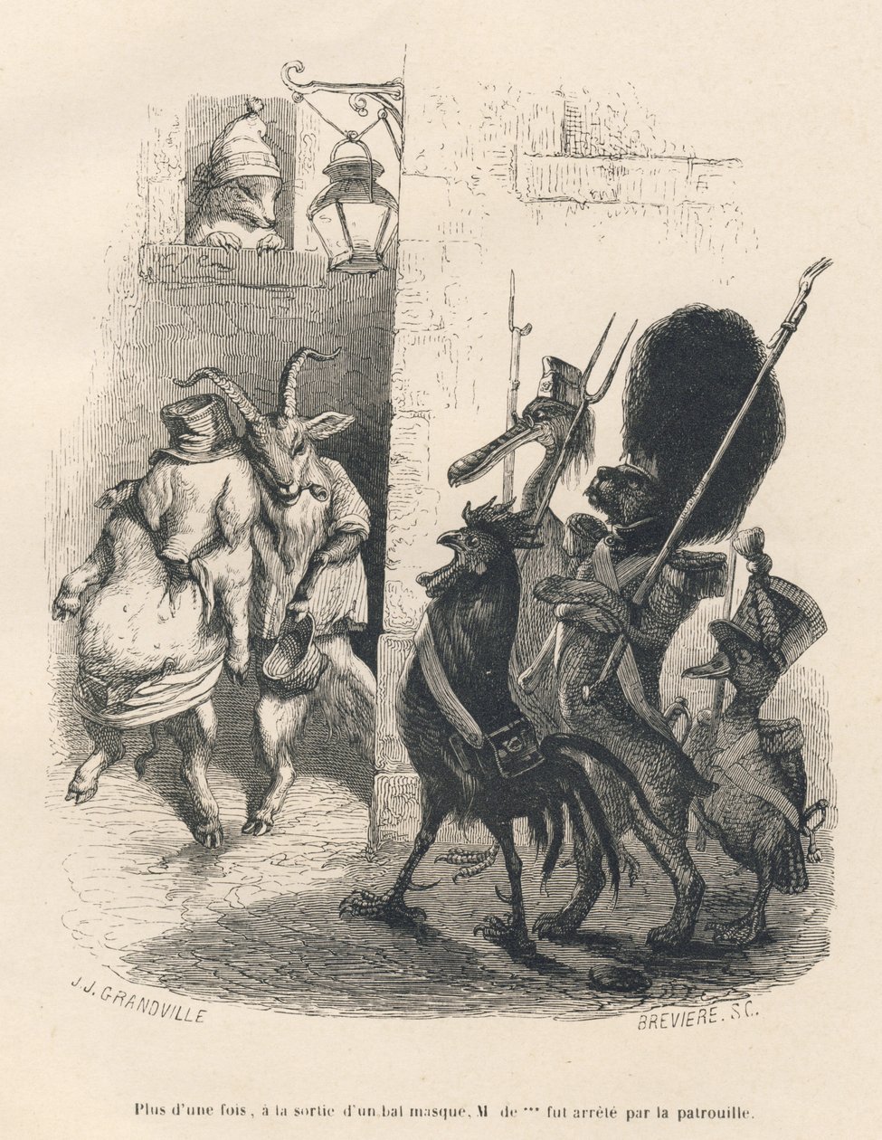 Berusad gris och get som korsar en patrull som består av en hund, en tupp, en anka och en pelikan. Miniatyrer illustrerade av JJ Granville. Gravyr signerad Breviere i delen med titeln "Memories of a crocodile" skriven av Emile de La Bedolliere av Grandville