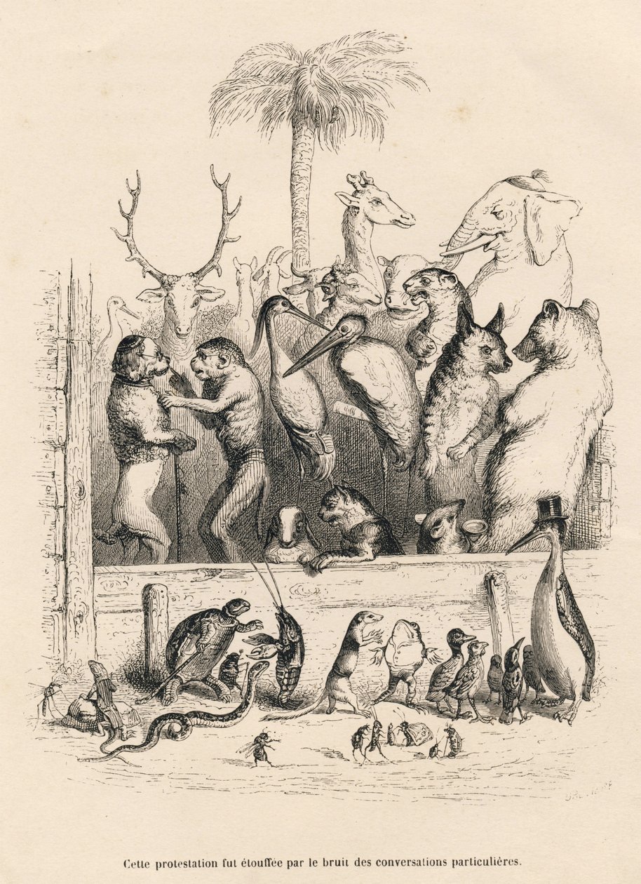 Samtal mellan djur. Miniatyrer illustrerade av JJ Granville. Gravyr signerad Breviere i prologen med titeln "Parlamentary Summary" skriven av PJ Stahl i "Scener ur djurens privata och offentliga liv". Paris, J. Hetzel och Paulin av Grandville