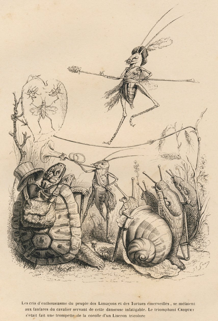 Locust spelar trumpet framför en sköldpadda, snigel och sniglar. Ovanför honom går en annan balanserad gräshoppa på en tråd. Vinjetter illustrerade av JJ Granville. Gravyr signerad Godard i avsnittet med titeln "En fjärils äventyr av Grandville