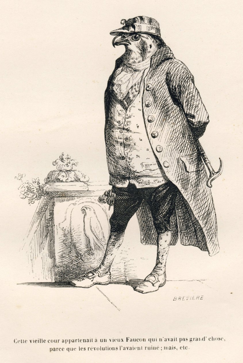 Faucon förstört av revolutioner. Miniatyrer illustrerade av JJ Granville. Gravyr signerad Breviere i delen med titeln "Minnen av en gammal kråka" skriven av PJ Stahl i "Scener från djurens privata och offentliga liv". Paris, J. Hetzel och Pauli av Grandville