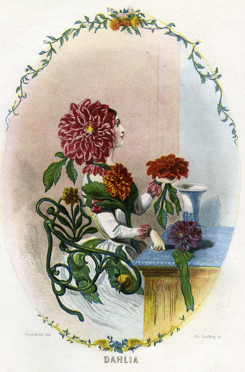 Illustration för "Les Fleurs Animees av Grandville (1803 47)