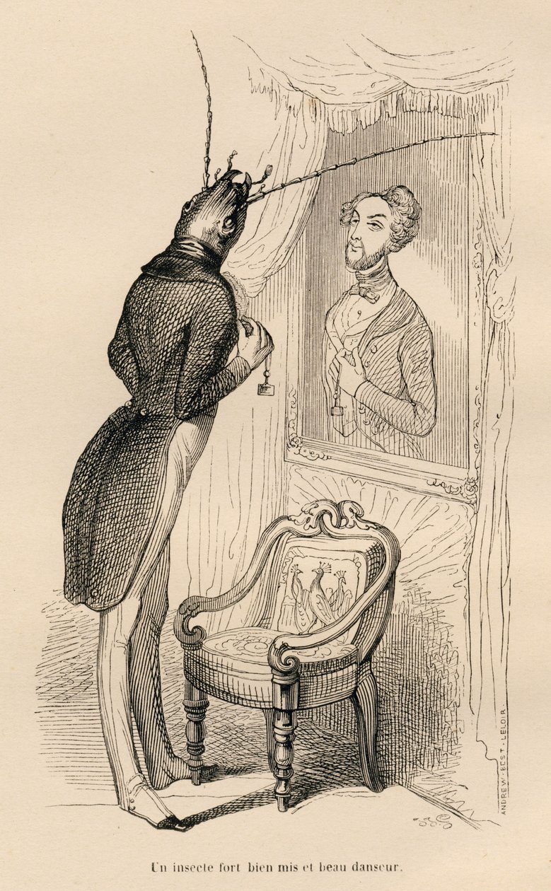 Insekt som tittar på sin mänskliga reflektion i spegeln). Vinjetter illustrerade av JJ Granville. Gravyr signerad Andrew, Best och Leloir i delen med titeln "The Adventures of a Butterfly" skriven av PJ Stahl i "Scener från djurens privata och offentliga l av Grandville