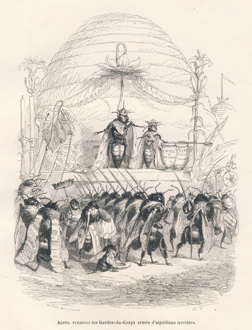 Drottningen och hennes armé. Miniatyrer illustrerade av JJ Granville. Gravyr signerad Andrew, Best och Leloir i delen med titeln "En sparvs resa från Paris" skriven av George Sand i "Scener från djurens privata och offentliga liv". Paris, J. av Grandville