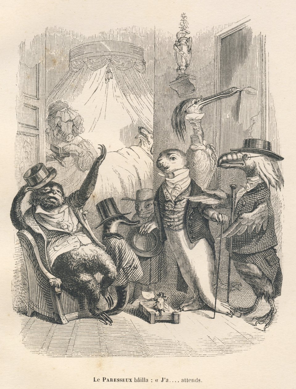 Sengångaren gäspade medan han väntade. Vinjetter illustrerade av JJ Granville. Gravyr signerad Godard i avsnittet "Les Animaux medecins" skrivet av Pierre Bernard i "Scener av djurens privata och offentliga liv". Paris, J. Hetzel och Paulin av Grandville
