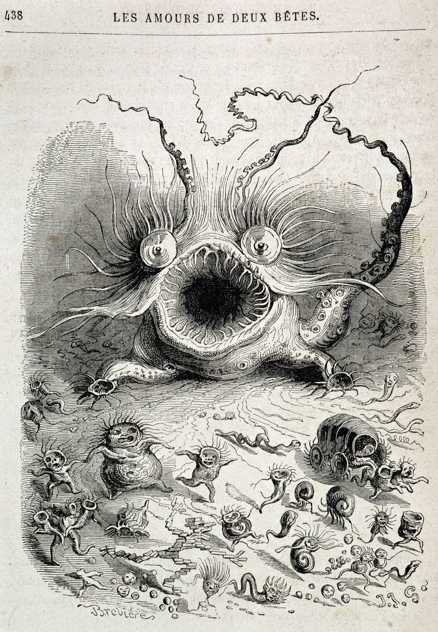 Les amours de deux beêtes (jävligt monster) - i "" Djur målade av dem själva: djurens privata och offentliga liv"" av Grandville, kapitel av Honoré de Balzac, red. Hetzel av Grandville