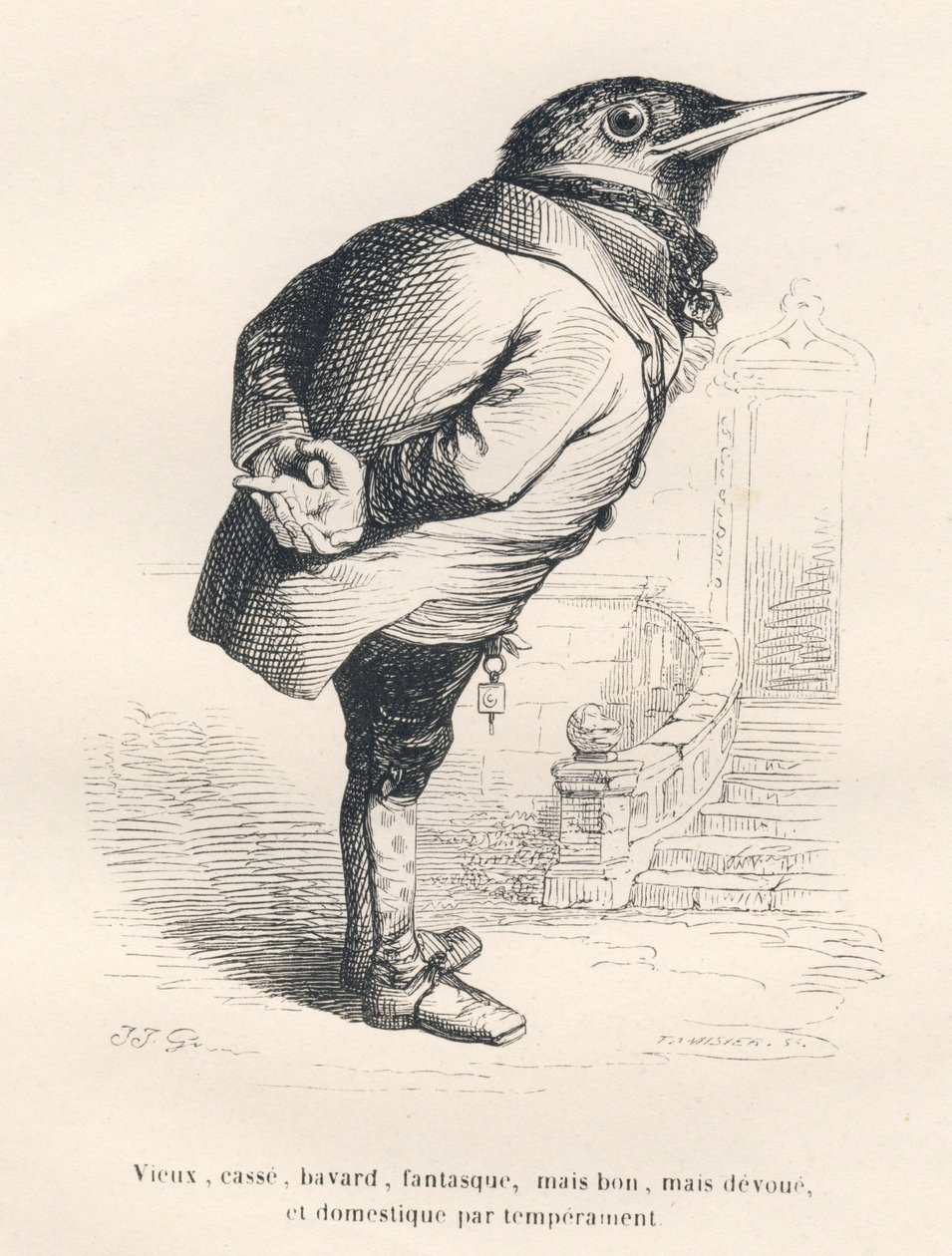 Merle "gammal, trasig, pratsam, nyckfull men bra men hängiven och inhemsk av temperament". Miniatyrer illustrerade av JJ Granville. Gravyr signerad Tamisier i delen med titeln "Memories of an old crow" skriven av PJ Stahl i "Scenes de la vie" av Grandville