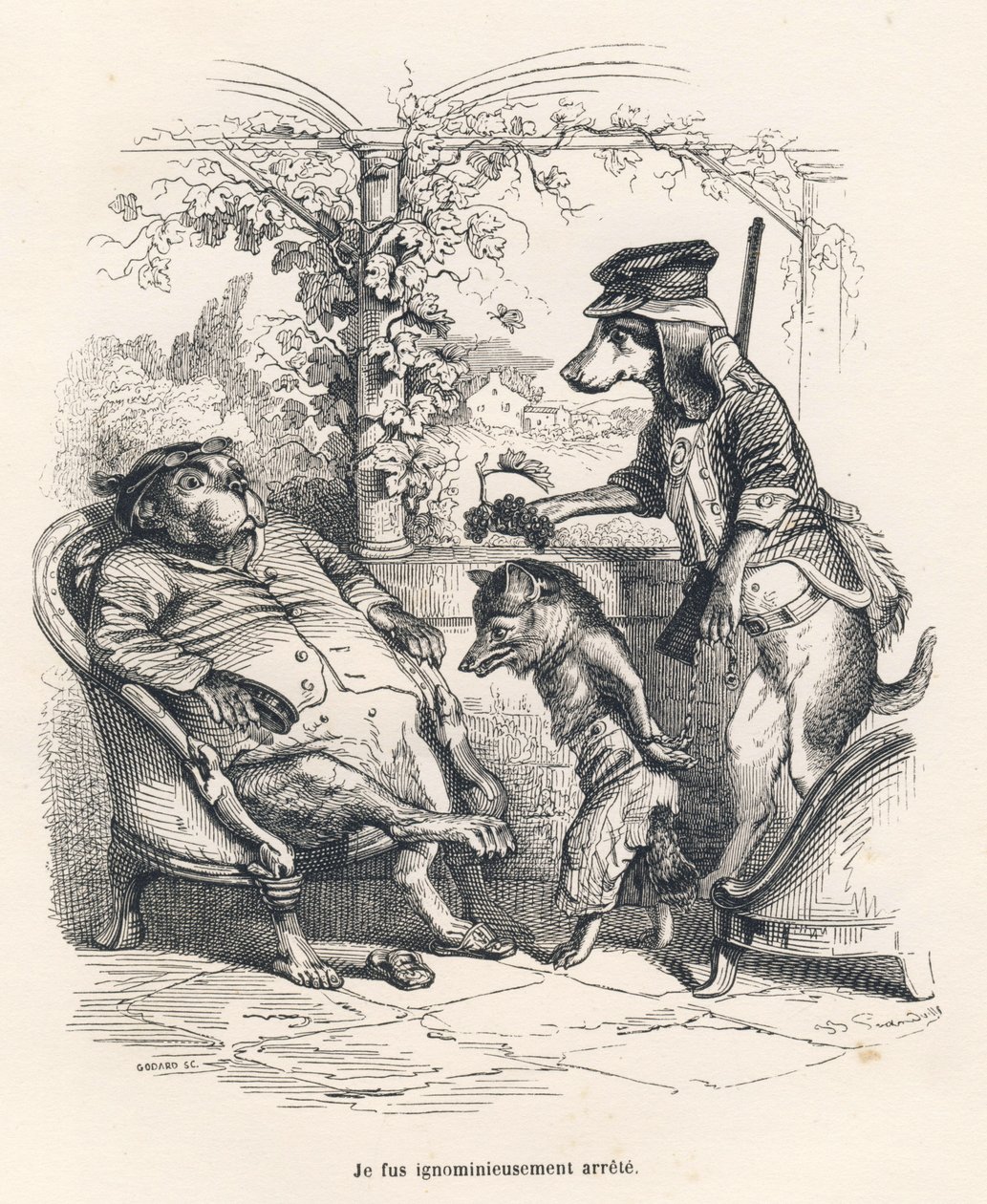 Fox stannade av en hund. Miniatyrer illustrerade av JJ Granville. Gravyr signerad Godard i delen med titeln "En räv fångad" skriven av Charles Nodier i "Scener från djurens privata och offentliga liv". Paris, J. Hetzel och Paulin av Grandville