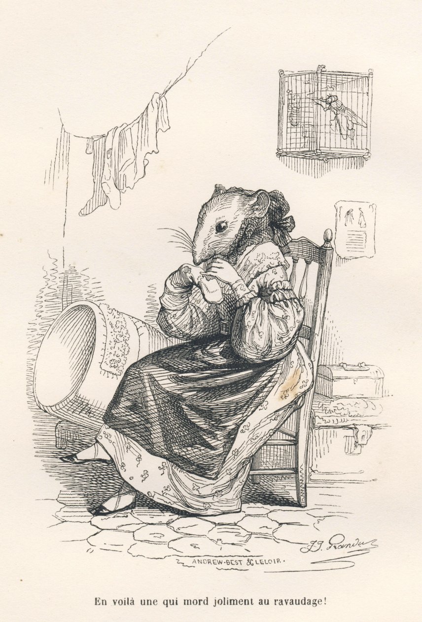 Mus lagar en strumpa. Miniatyrer illustrerade av JJ Granville. Gravyr signerad Andrew, Best och Leloir i delen med titeln "The philosopher rat" skriven av Edouard Lemoine i "Scener från djurens privata och offentliga liv". Paris, J. Hetzel och av Grandville