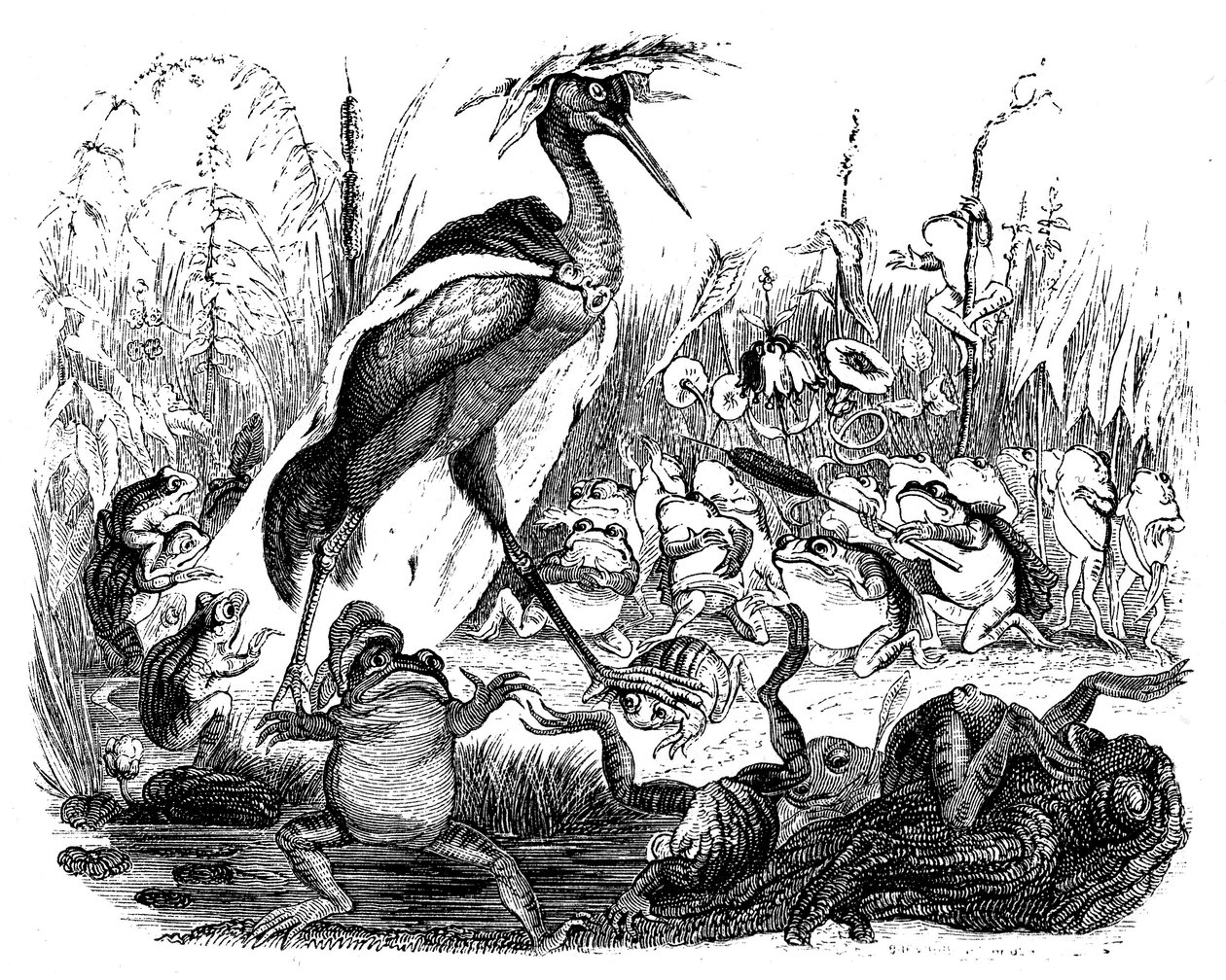 Grodorna frågar kungen, illustration från 