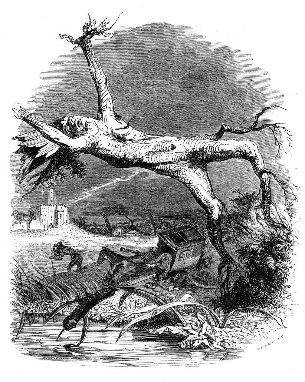 Eken och vresroten: La Fontaines fabel av Grandville (1803 47)