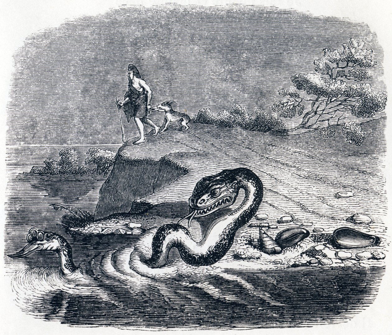 Ormens fram- och svans - Fables av La Fontaine av Grandville
