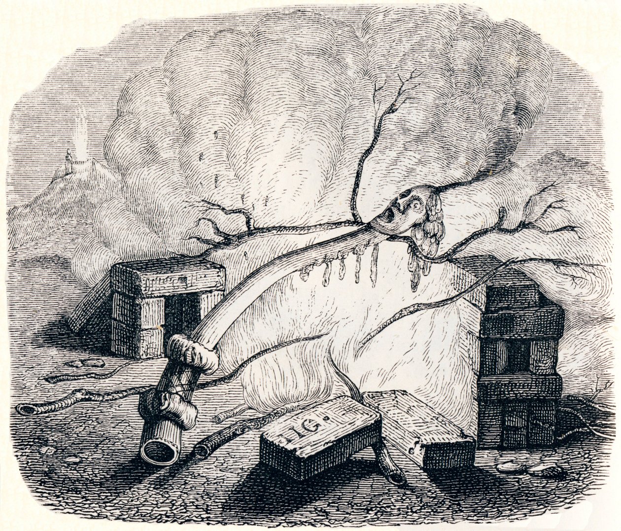 Ljuset - Fables av La Fontaine av Grandville