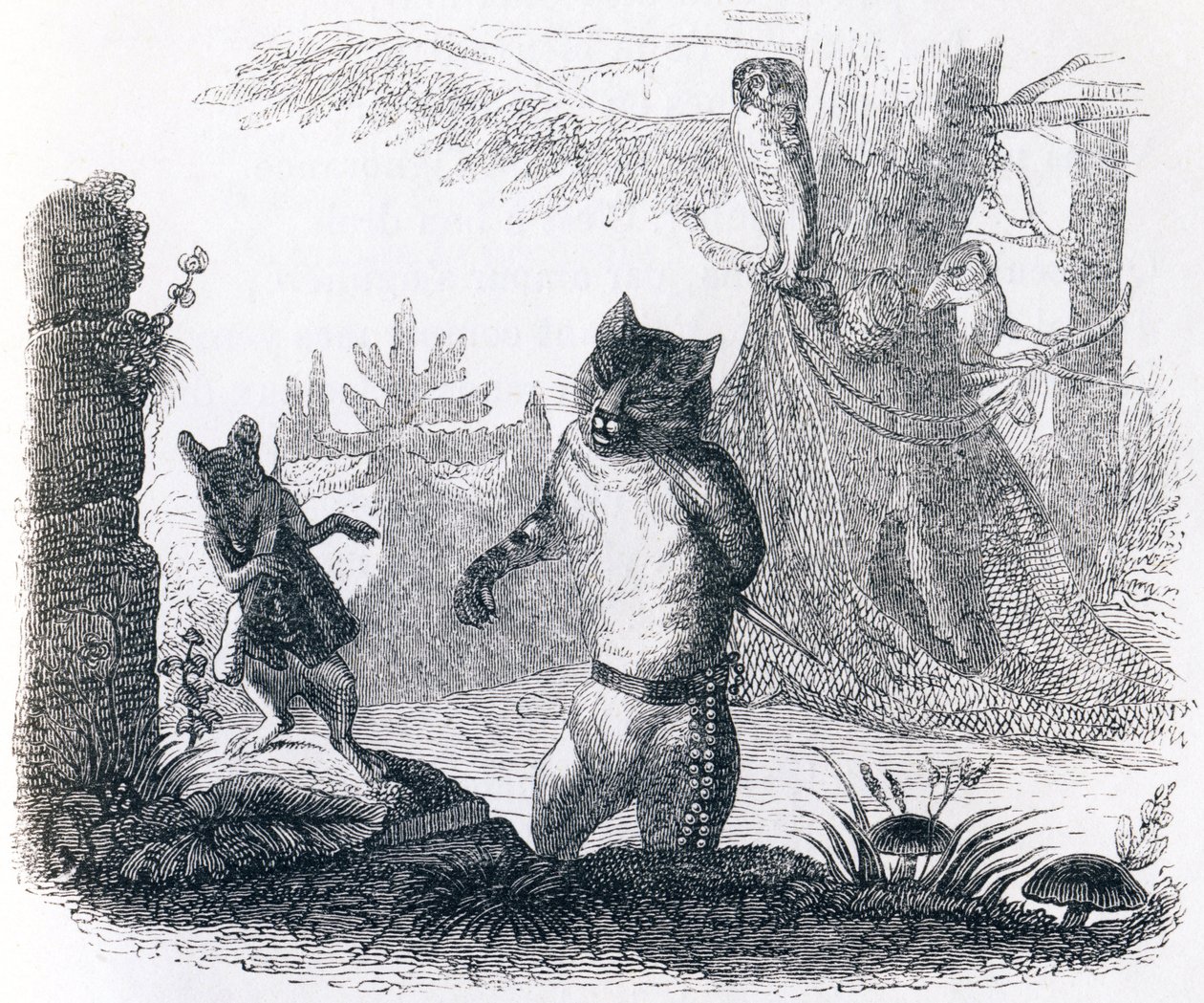 Katten och råttan (Le chat et le rat) - Fabler av La Fontaine av Grandville