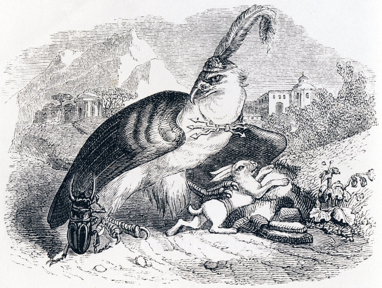 Örnen och snigeln (L