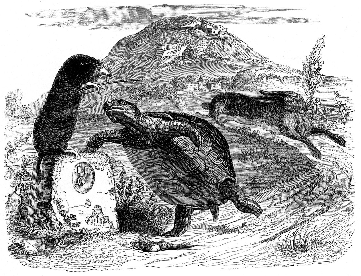 Haren och sköldpaddan: La Fontaines fabel illustrerad av Grandville. av Grandville (1803 47)