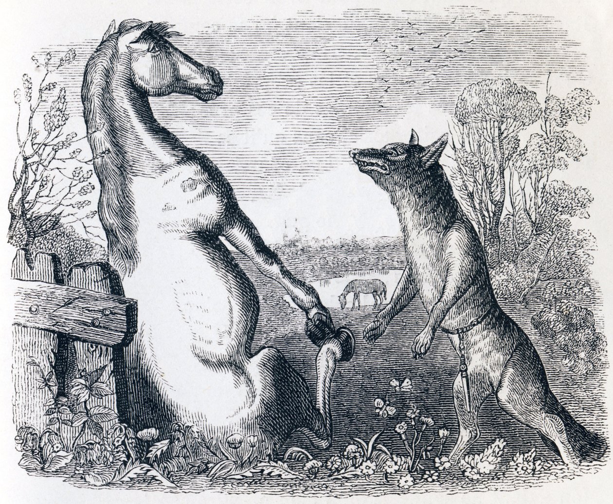 Hästen och vargen - Fables av La Fontaine av Grandville