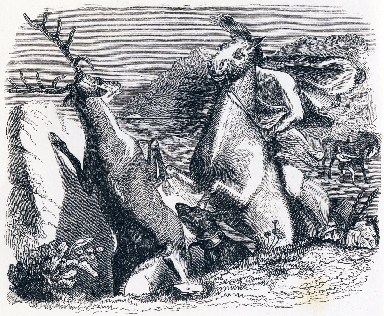 Hästen ville hämnas rådjuren - Fables av La Fontaine av Grandville