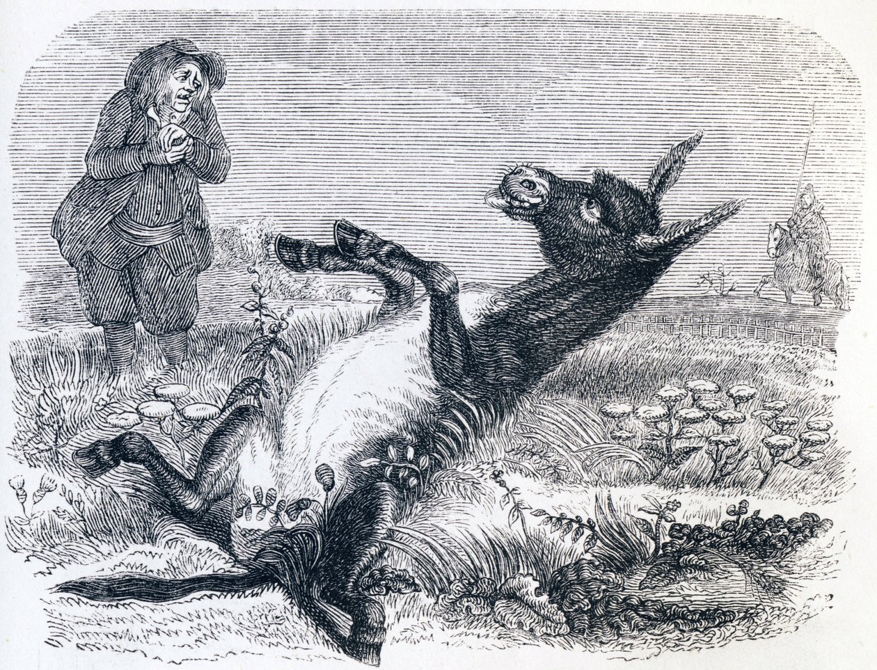 Den gamle mannen och räven (Le vieillard et l