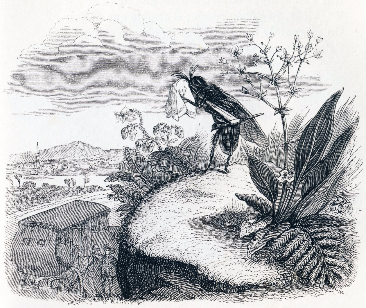 Fästingen och flugan - Fables av La Fontaine av Grandville