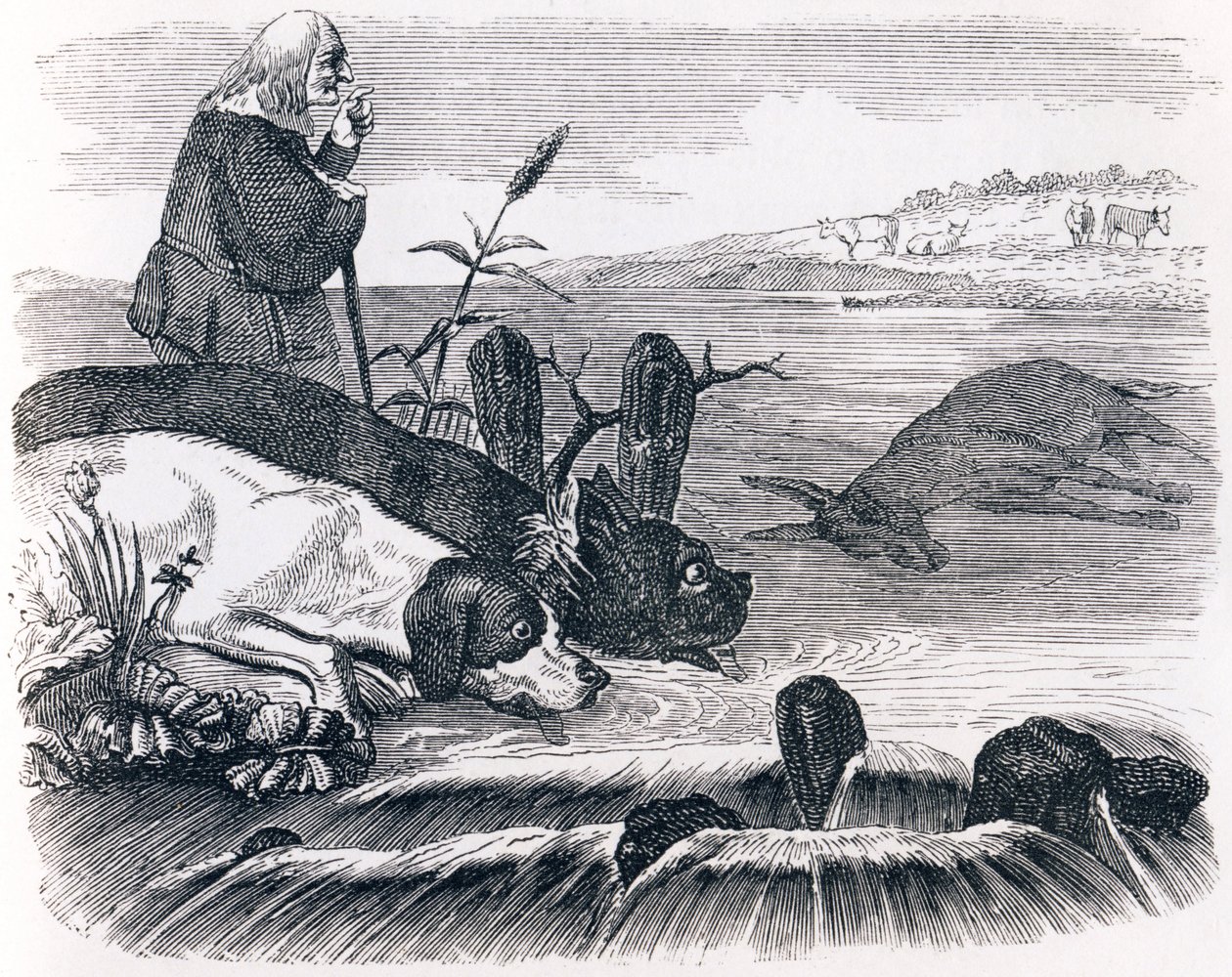 De två hundarna och den döda åsnan - Fables av La Fontaine av Grandville