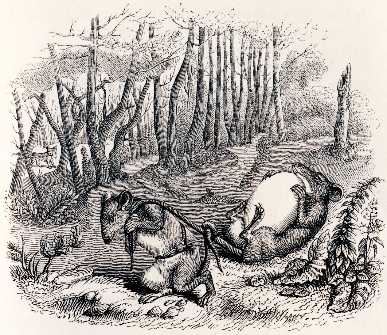 De två råttorna, räven och ägget - Fables av La Fontaine av Grandville