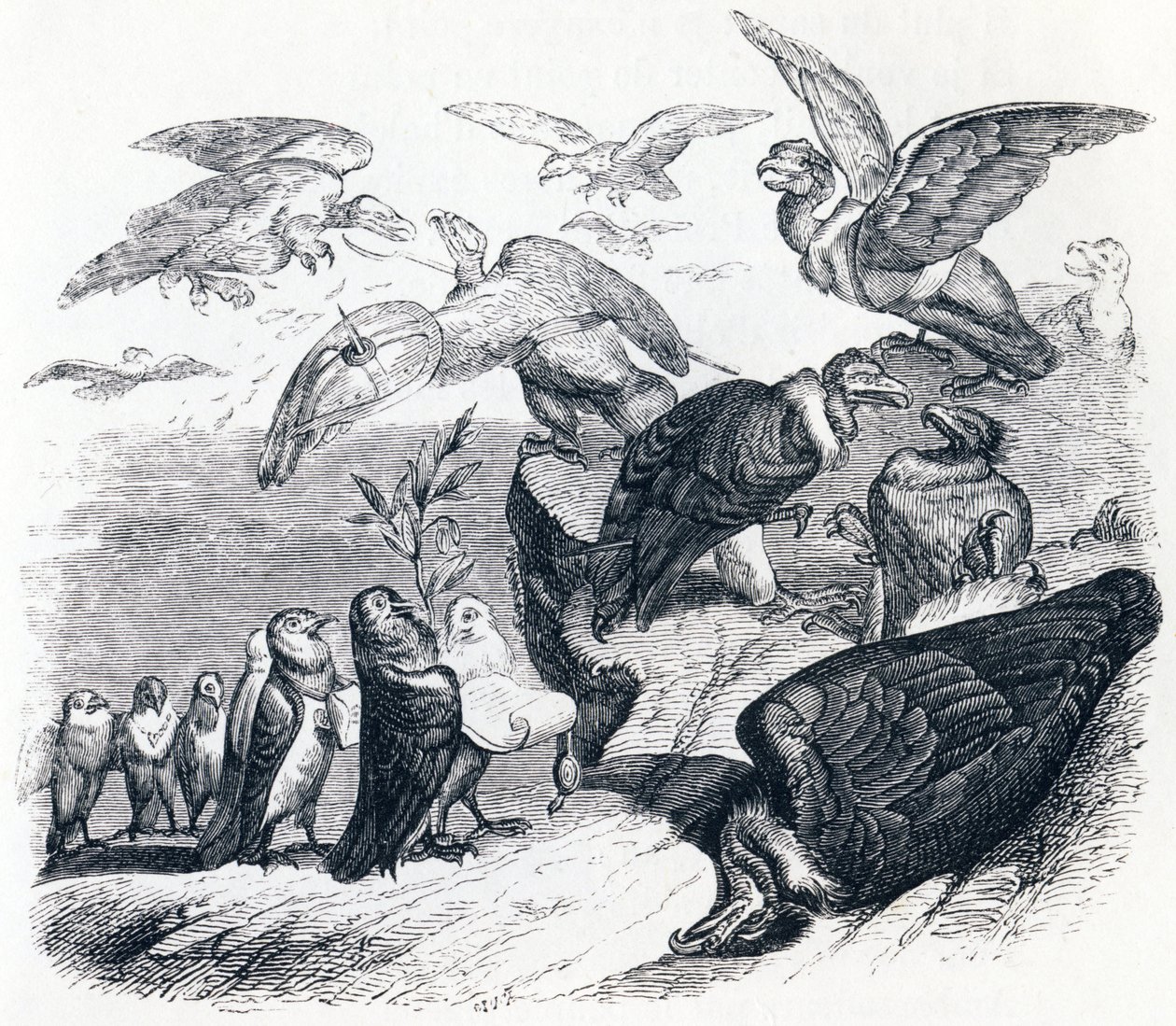 Gamar och duvor - Fables av La Fontaine av Grandville