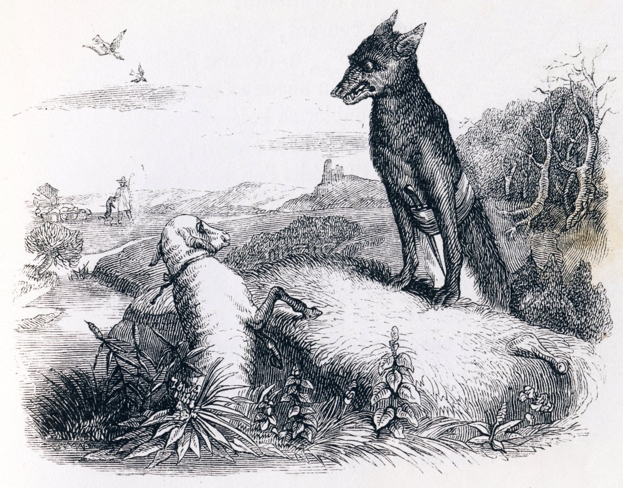 Vargen och lammet - Fables av La Fontaine av Grandville