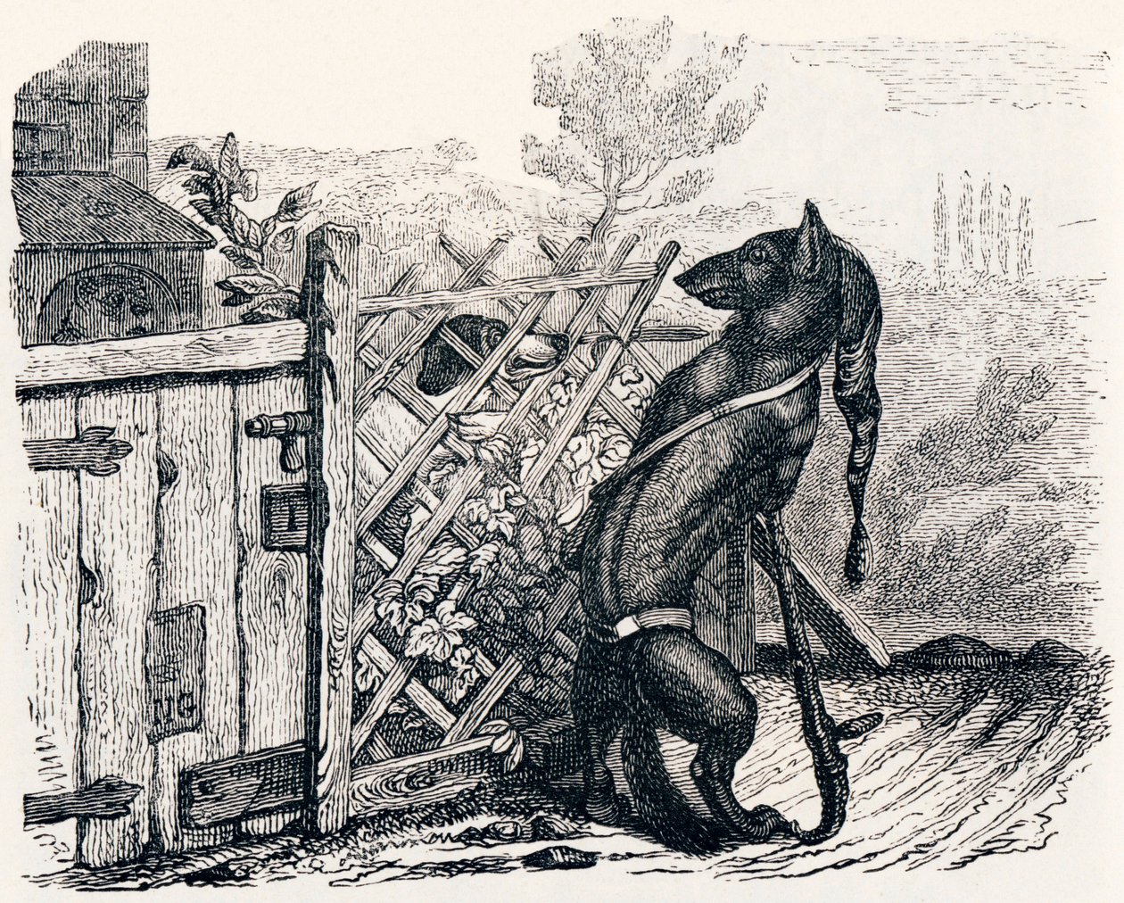 Ulven og den tynde hund - Fabler af La Fontaineswed av Grandville