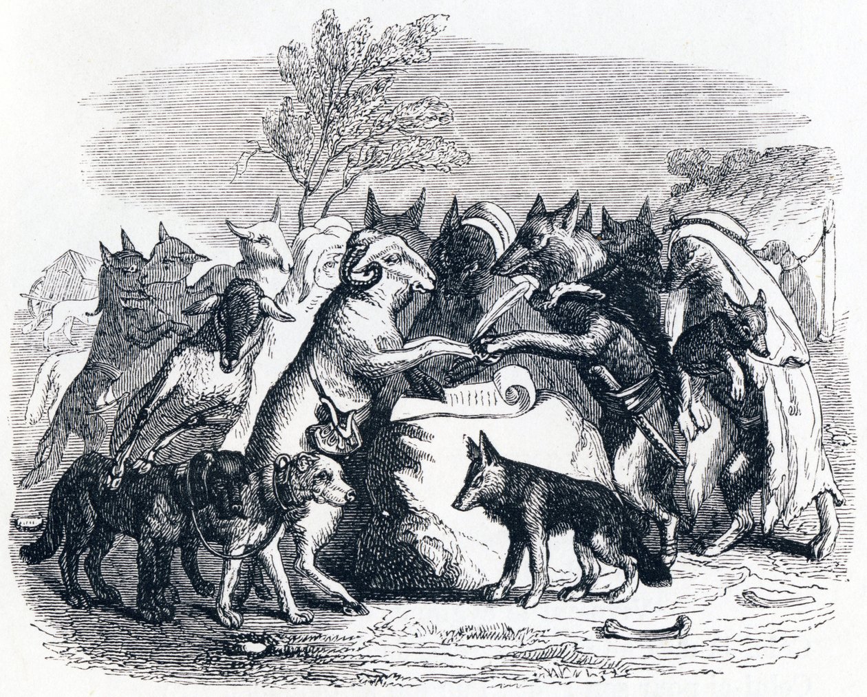 Vargarna och tackorna - Fables av La Fontaine av Grandville