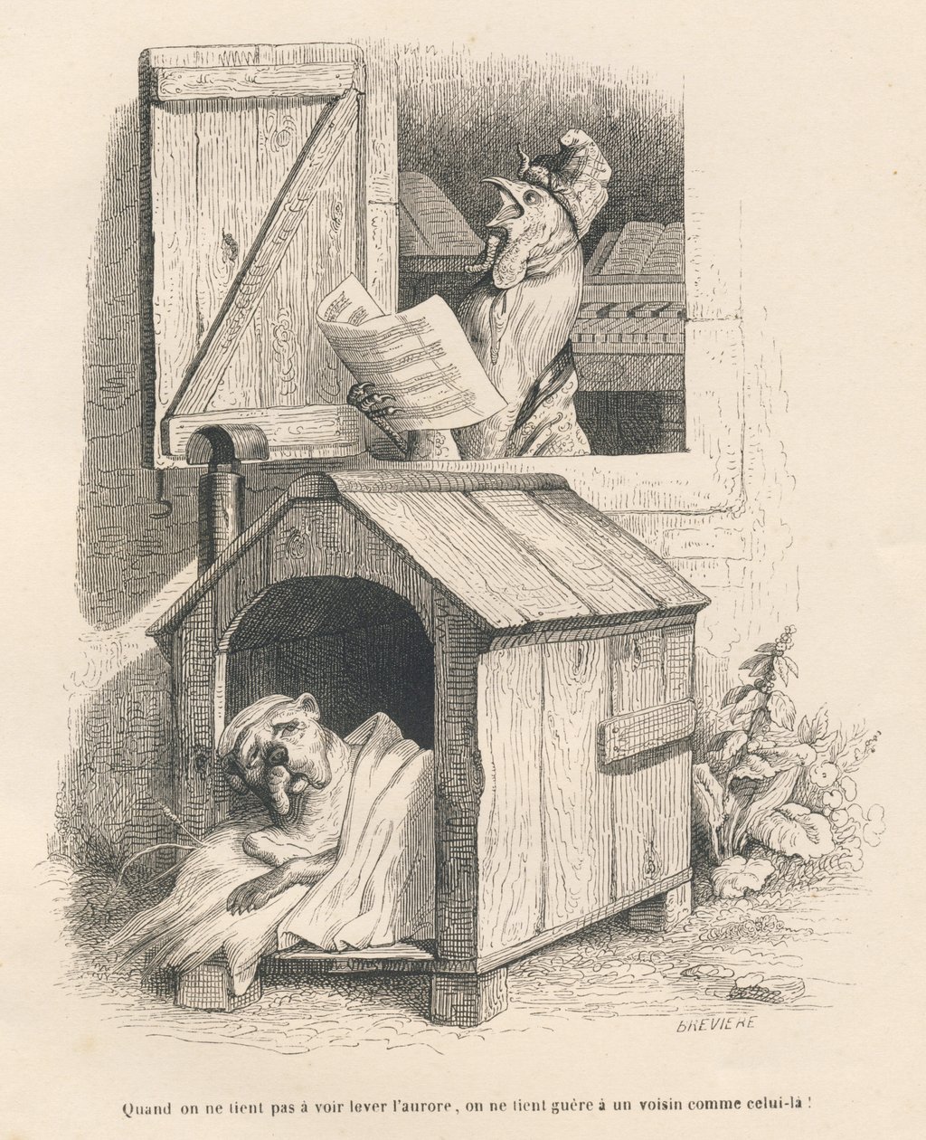 En lat hund i sin kennel väckt av en tupp som galar i gryningen. Miniatyrer illustrerade av JJ Granville. Gravyr signerad Breviere i delen "Berättelsen om en hare" skriven av PJ Stahl i "Scener ur djurens privata och offentliga liv". Paris av Grandville