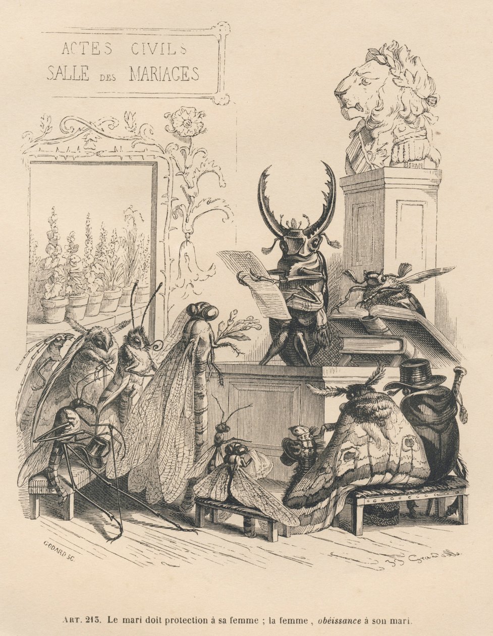 Insekts bröllopslöften. Miniatyrer illustrerade av JJ Granville. Gravyr signerad Godard i delen med titeln "En fjärils äventyr" skriven av PJ Stahl i "Scener från djurens privata och offentliga liv". Paris, J. Hetzel och Paulin av Grandville