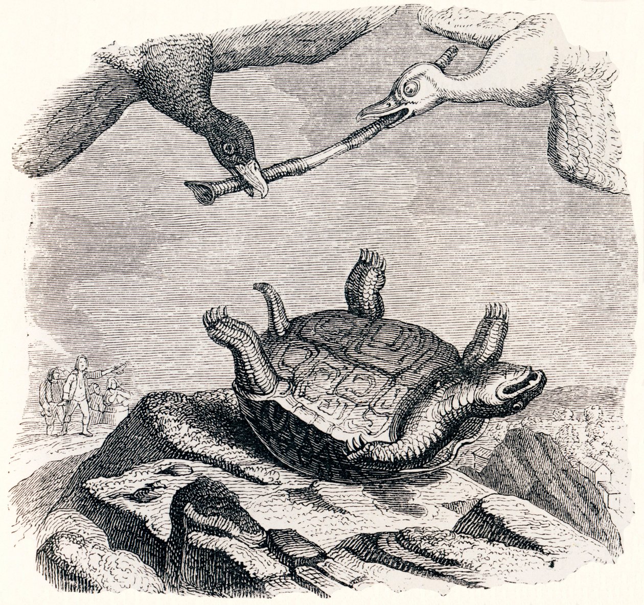 sköldpaddan och de två änderna - Fables av La Fontaine av Grandville