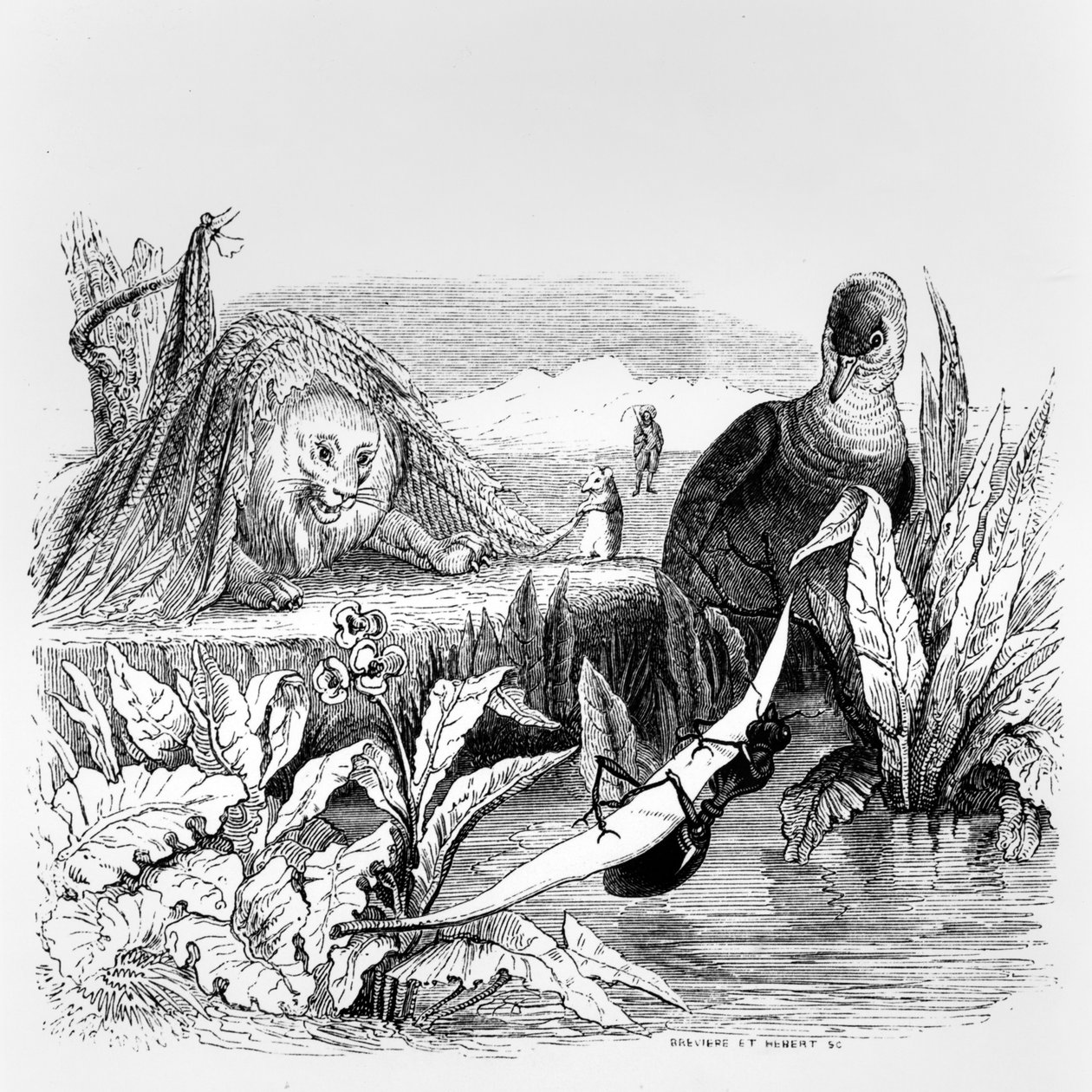 Duvan och myran och lejonet och råttan, illustration till 