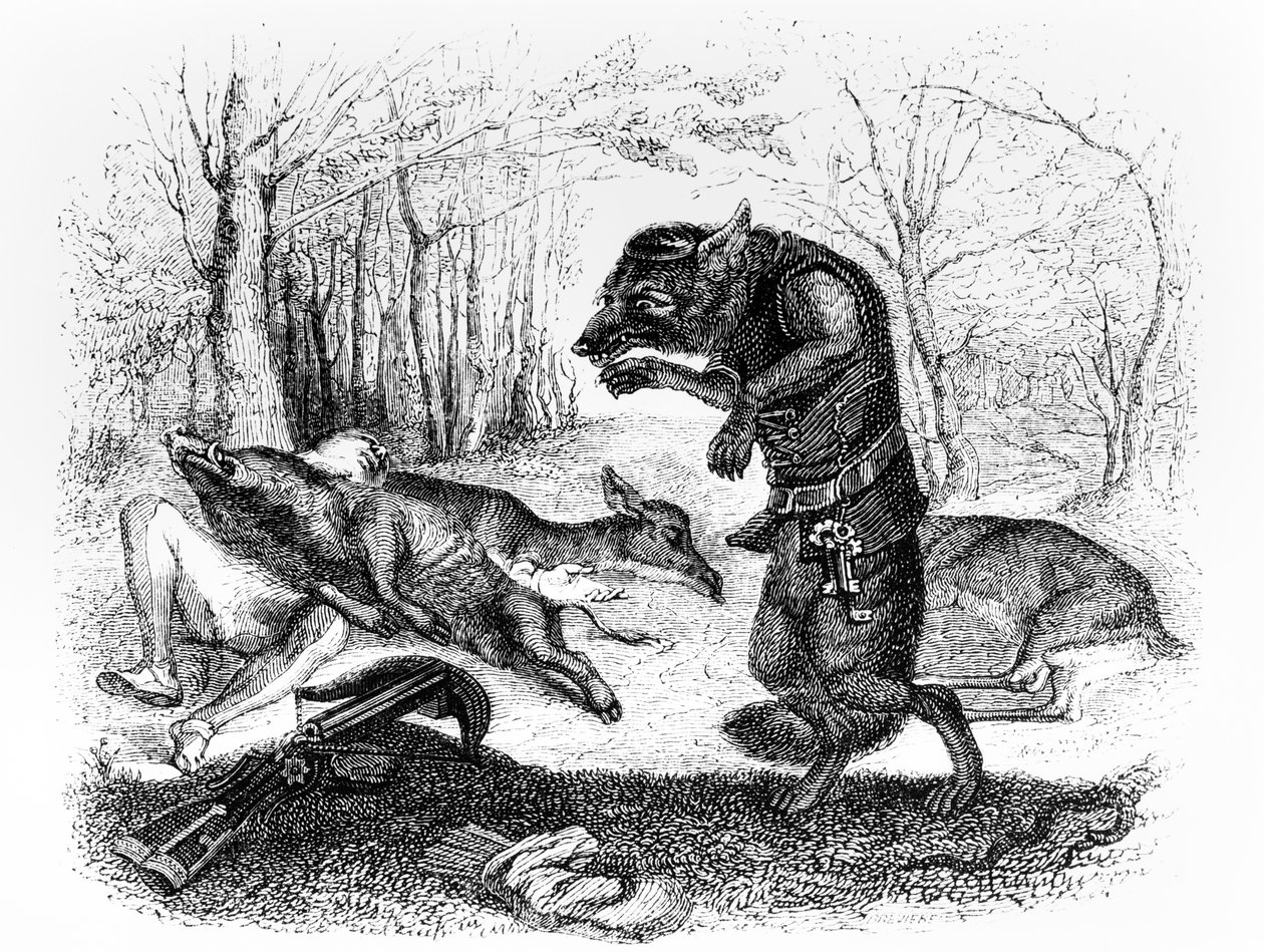 The Wolf and the Hunter, illustration till 